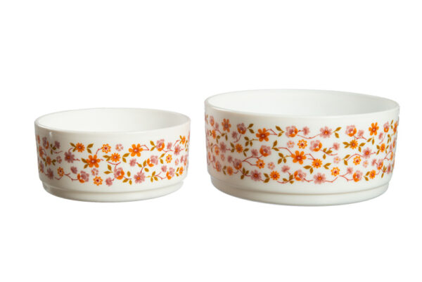 Set van twee vintage Arcopal scania schalen - Afbeelding 4