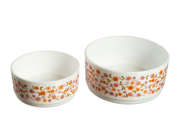 Set van twee vintage Arcopal scania schalen - Afbeelding 3