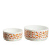Set van twee vintage Arcopal scania schalen